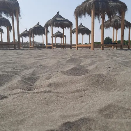 Pushimi Regis * Velipojë