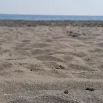 Pushimi Regis * Velipojë