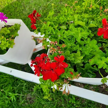 Holiday home Pushimi Regis