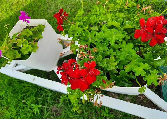 Holiday home Pushimi Regis