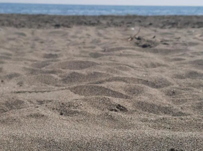 Pushimi Regis * Velipoje