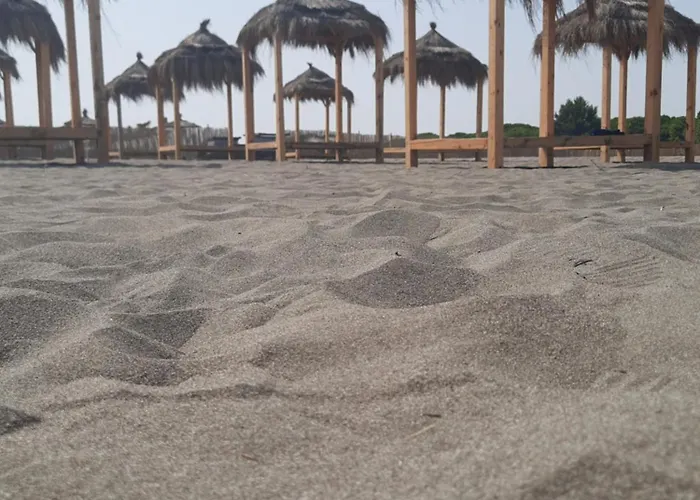 Pushimi Regis * Velipojë